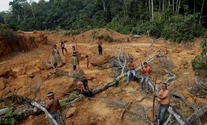 Incendi e deforestazione in Amazzonia