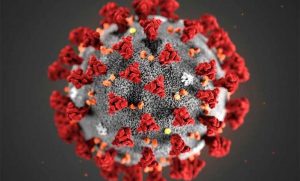 coronavirus contagio 2019-nCoV, COVID19, Sars-CoV-2