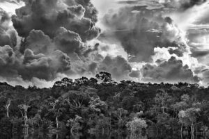 mostra Sebastião Salgado sull'amazzonia, museo Maxxi, 2021